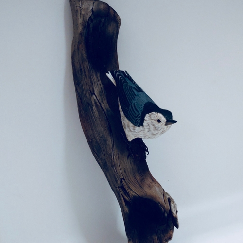 White-Breasted Nuthatch $700 at Hunter Wolff Gallery