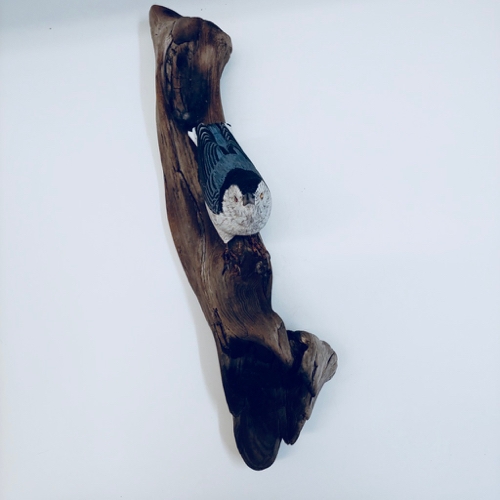 White-Breasted Nuthatch $700 at Hunter Wolff Gallery