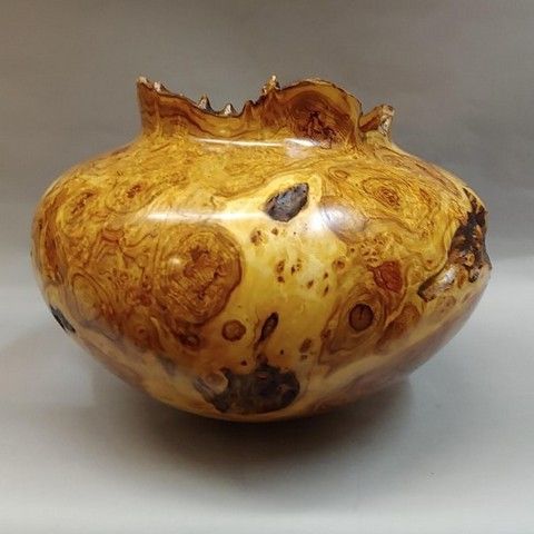 JW-171 Aspen Burl Vessel 11x14 $1500 at Hunter Wolff Gallery