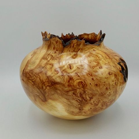 JW-172 Aspen Burl Vessel 7x8.5 $400 at Hunter Wolff Gallery