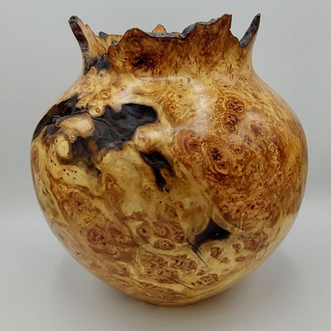 JW-175 Aspen Burl Vessel 11.75x10.5 $800 at Hunter Wolff Gallery