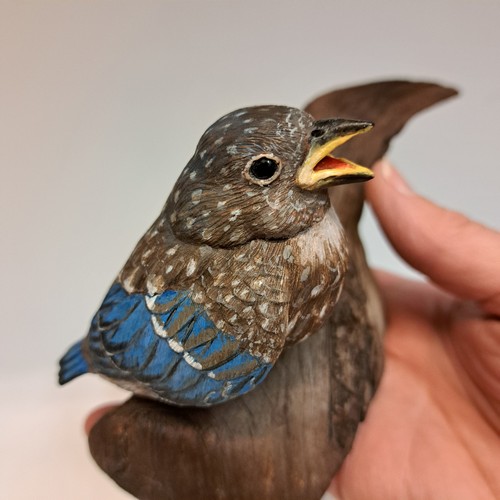Click to view detail for Baby Bluebird $560