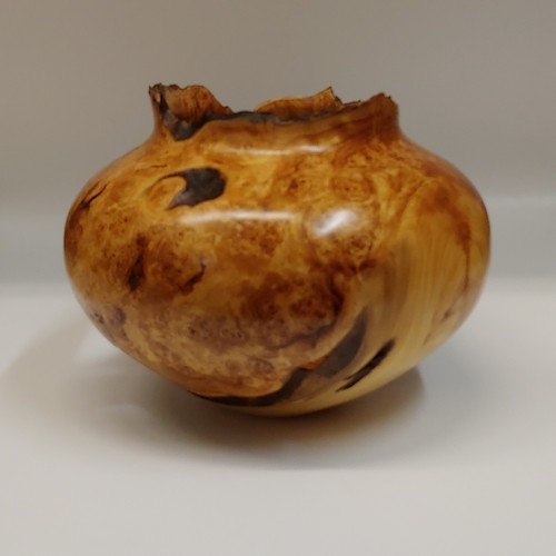 JW-208 Aspen Burl Hollowed Vessel $750 at Hunter Wolff Gallery