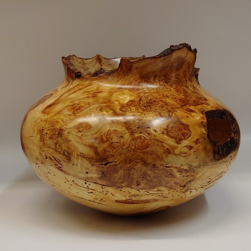 JW-209 Aspen Burl Hollowed Wood Vessel $950 at Hunter Wolff Gallery