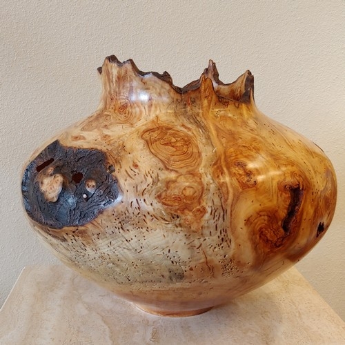 JW-210 Aspen Burl Hollowed  Vessel  $1500 at Hunter Wolff Gallery