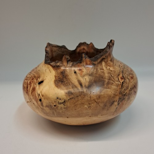 JW-226 Aspen Burl Hollow Woodturning 4 x 5.25 $150 at Hunter Wolff Gallery