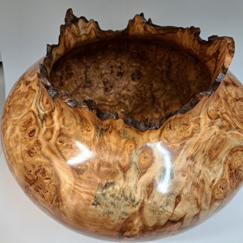 JW-227 Aspen Burl Hollow Woodturning 10x12 $1400 at Hunter Wolff Gallery