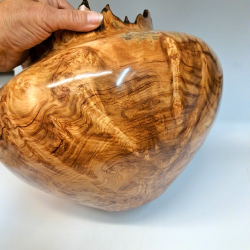 JW-227 Aspen Burl Hollow Woodturning 10x12 $1400 at Hunter Wolff Gallery