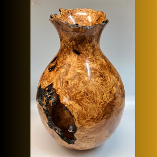 Click to view detail for JW-229 Aspen Burl Hollow Woodturning 15.5x9.5 $1500