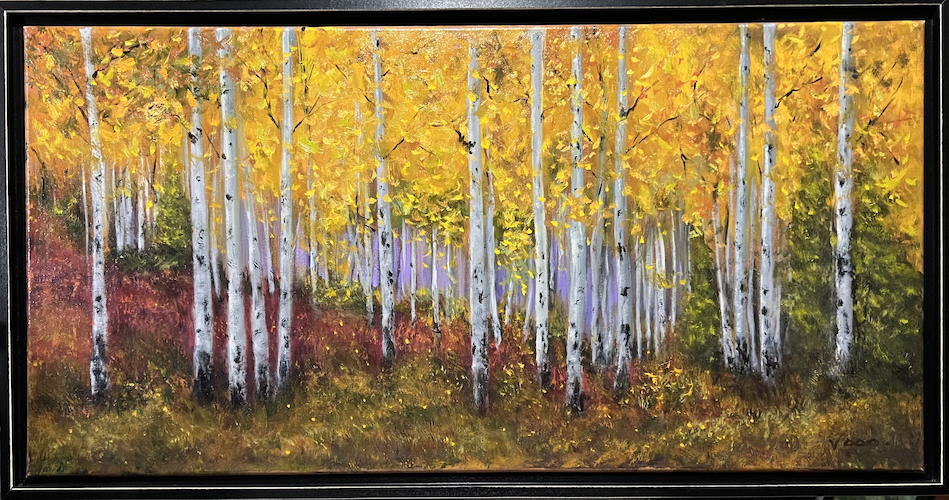 Click to view detail for Aspen Grove 15x30 $1350