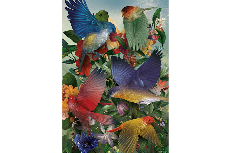 Click to view detail for MP-013 Birdwatching 250 Pcs $78
