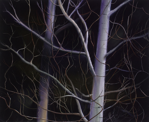 Branching Out 18.75x23 $2500 at Hunter Wolff Gallery