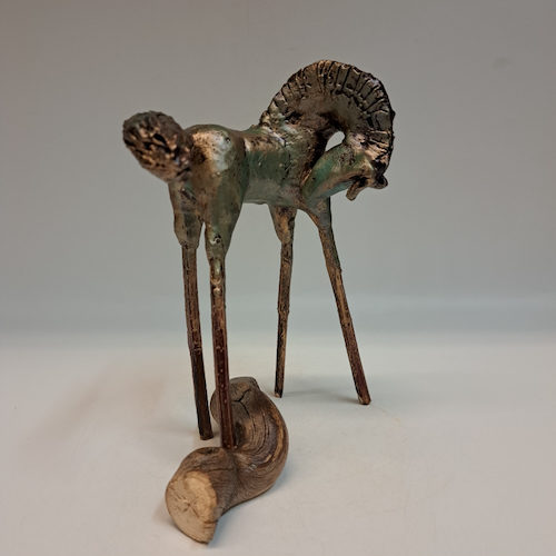 Click to view detail for Coy Horse $450