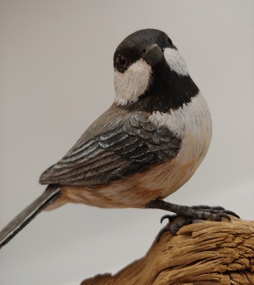 Black Capped Chickadee  7x5x3.75  $685 at Hunter Wolff Gallery