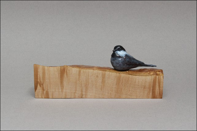 FL042 Chickadee on Maple at Hunter Wolff Gallery