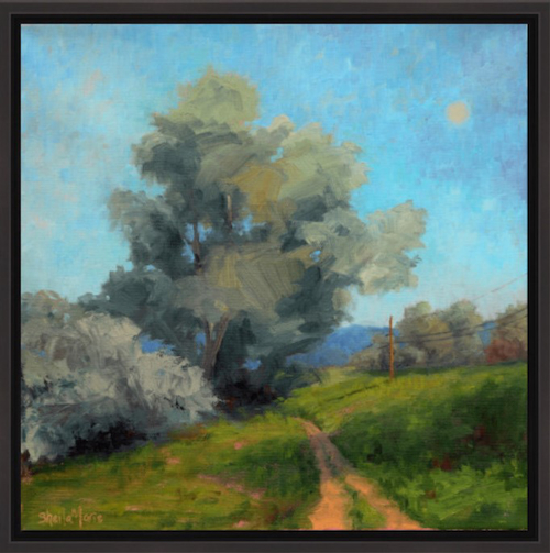 Click to view detail for Coyote Rest Stop 12x12 $585