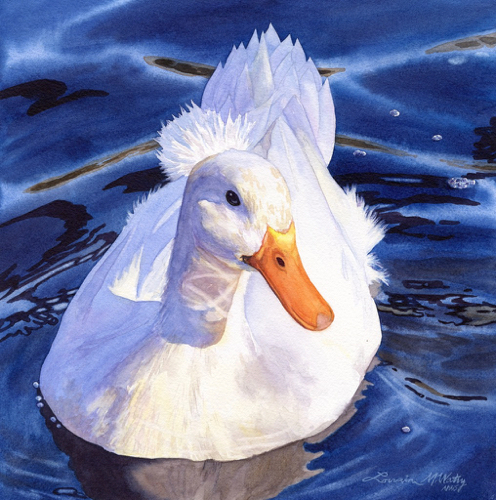 Crested Duck 10x10 $770 at Hunter Wolff Gallery