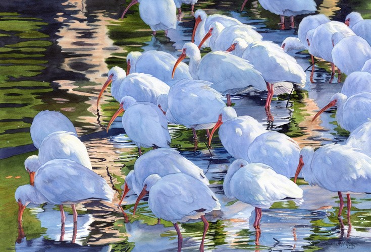 Early Morning Ibis 15x22 $2100 at Hunter Wolff Gallery