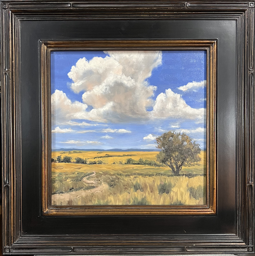 Click to view detail for Eastern Plains 12x12 $575