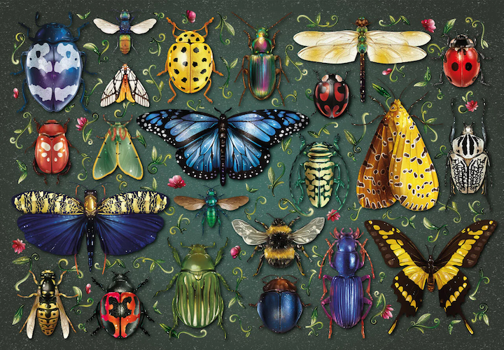 Click to view detail for MP-017 Insectarium 250 pcs $78