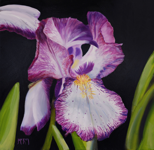 Iris Bloom 10x10 $500 at Hunter Wolff Gallery