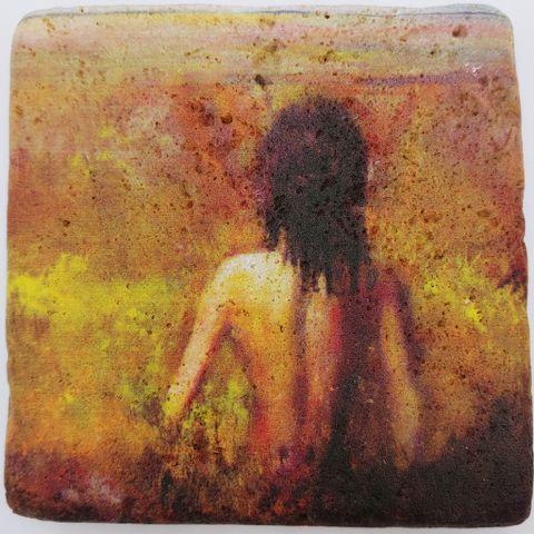 Click to view detail for JS005 Coaster Fields 4x4 $26