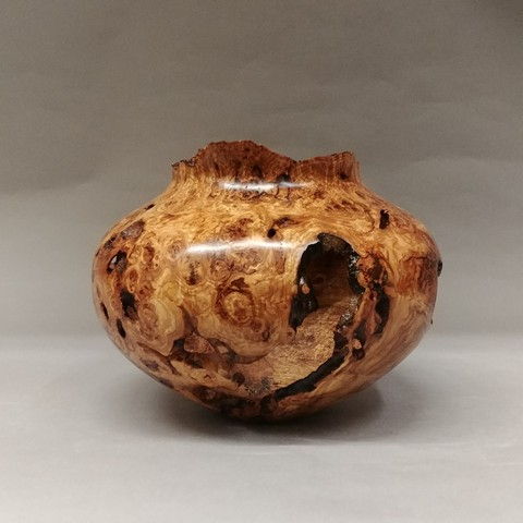 Click to view detail for JW-156 Aspen Burl Hollow Vessel