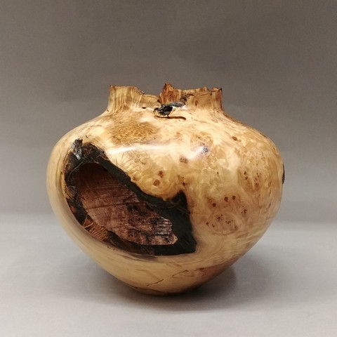 Click to view detail for JW-157 Aspen Burl Hollow Vessel