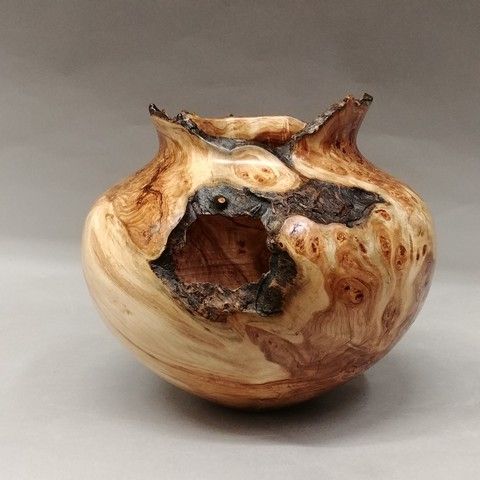 JW-158 Aspen Burl Hollow Vessel at Hunter Wolff Gallery