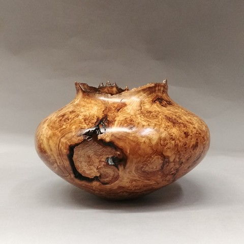 JW-159 Aspen Burl Hollow Vessel at Hunter Wolff Gallery