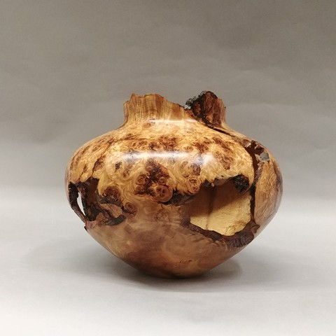 JW-160 Aspen Burl Hollow Vessel at Hunter Wolff Gallery