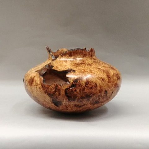 Click to view detail for JW-162 Aspen Burl Hollow Vessel $650