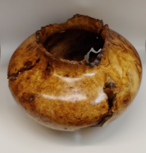 JW-186 Aspen Burl Hollowed Vessel $1400 at Hunter Wolff Gallery