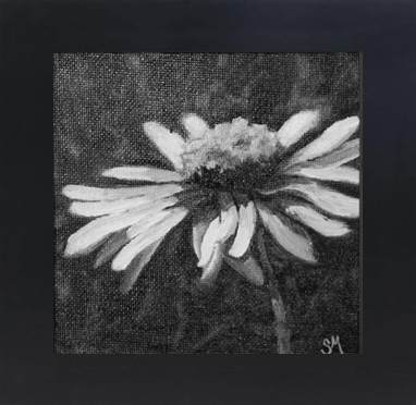 Click to view detail for Light & Shadow #3 5x5 $150