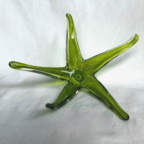 Click to view detail for DG-199 Sea Star Lime Transparent $87
