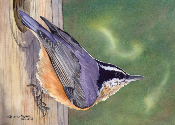 Little Acrobat 10x14 $980 at Hunter Wolff Gallery