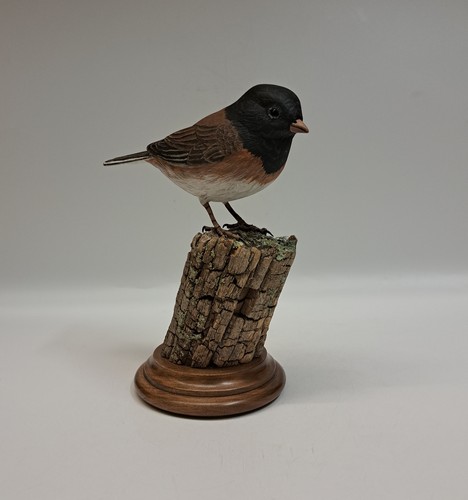 Oregon Junco 7x3 $800 at Hunter Wolff Gallery