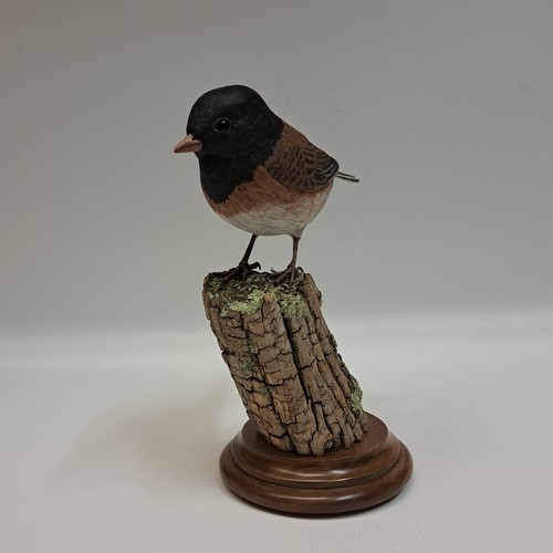 Oregon Junco 7x3 $800 at Hunter Wolff Gallery