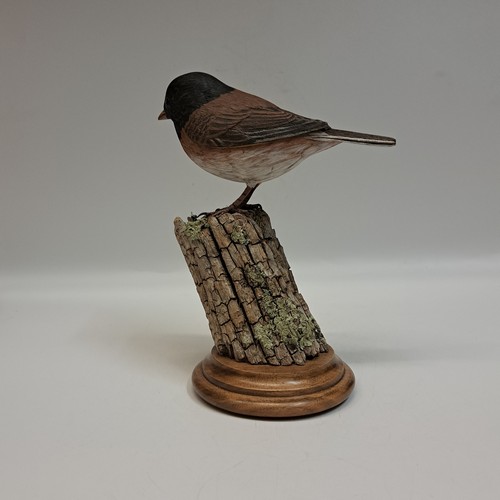 Oregon Junco 7x3 $800 at Hunter Wolff Gallery