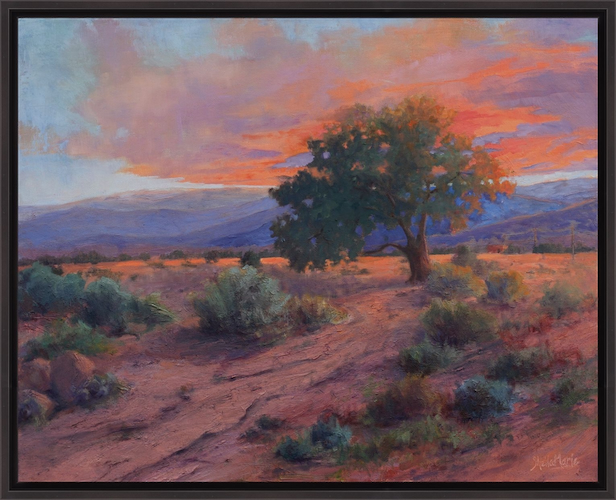 Click to view detail for Overture 16x20 $1050