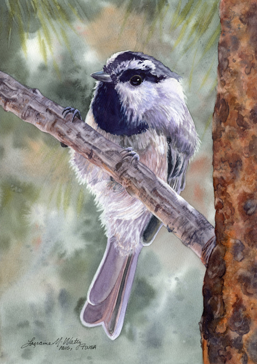 Peeking Chickadee  14 x 10 $980 at Hunter Wolff Gallery