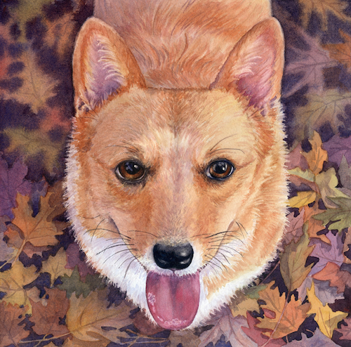 Playing With Leaves 10.5x10.5 $770 at Hunter Wolff Gallery