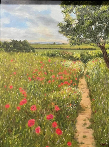 Red Poppies in Field 24x18 $1500 at Hunter Wolff Gallery