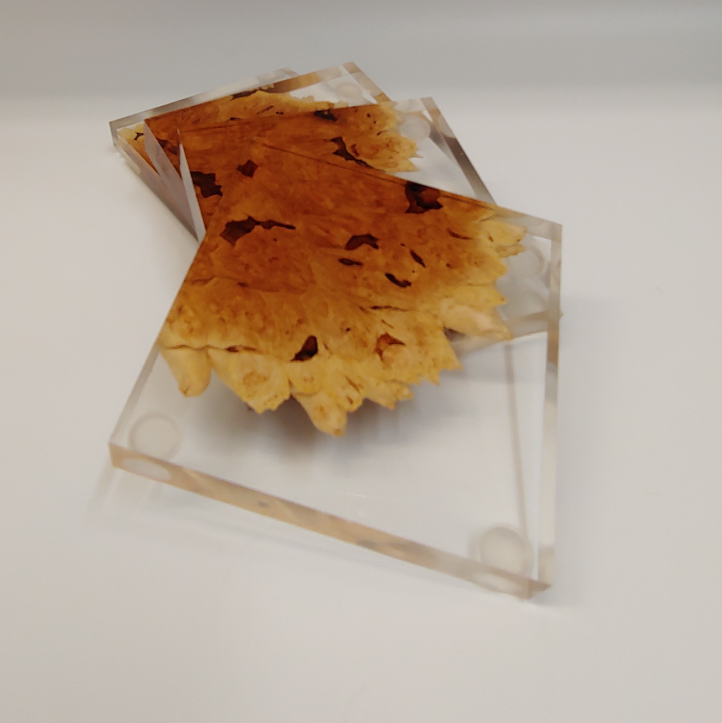 SH180 Coaster Set of Four Maple & Clear $80 at Hunter Wolff Gallery