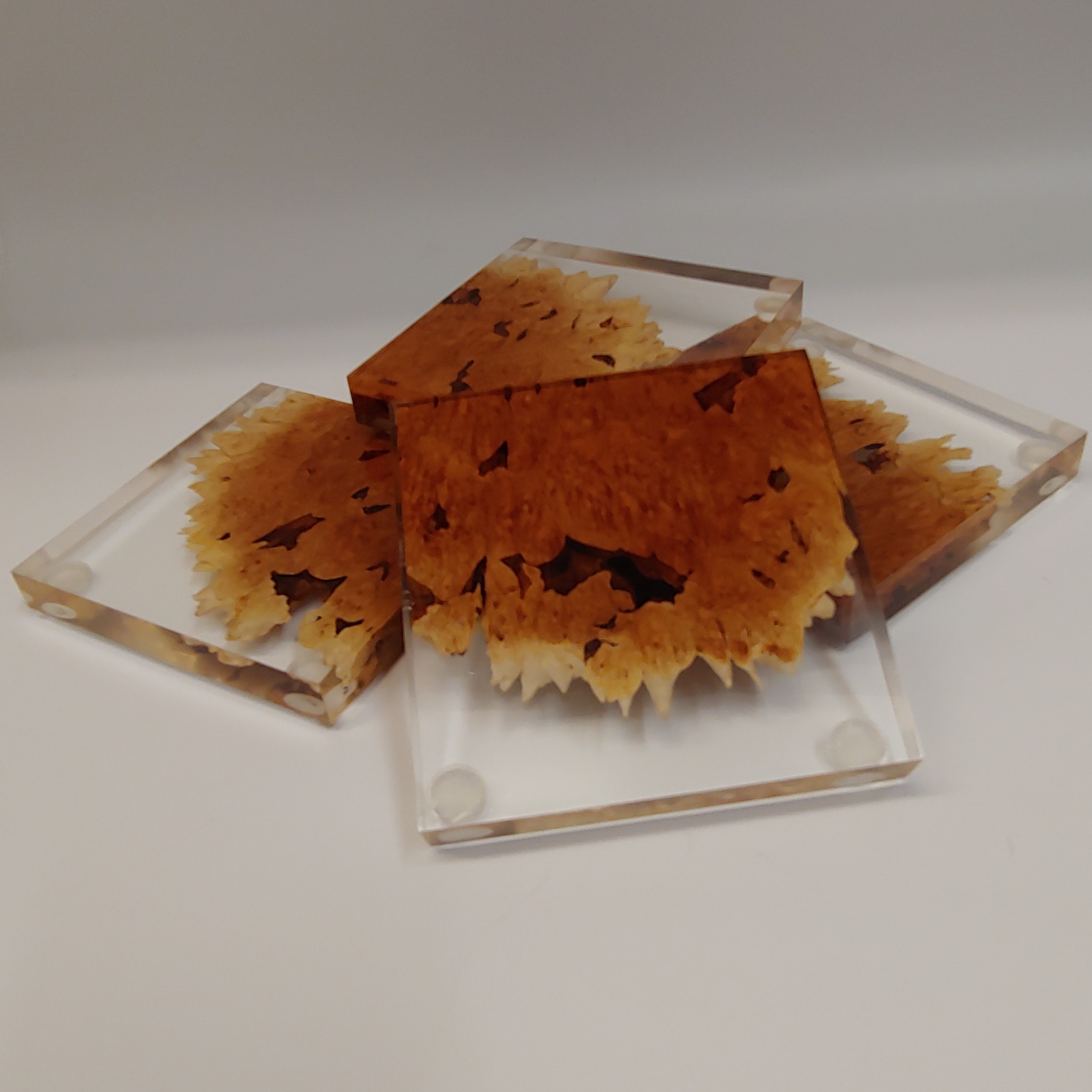 SH180 Coaster Set of Four Maple & Clear $80 at Hunter Wolff Gallery