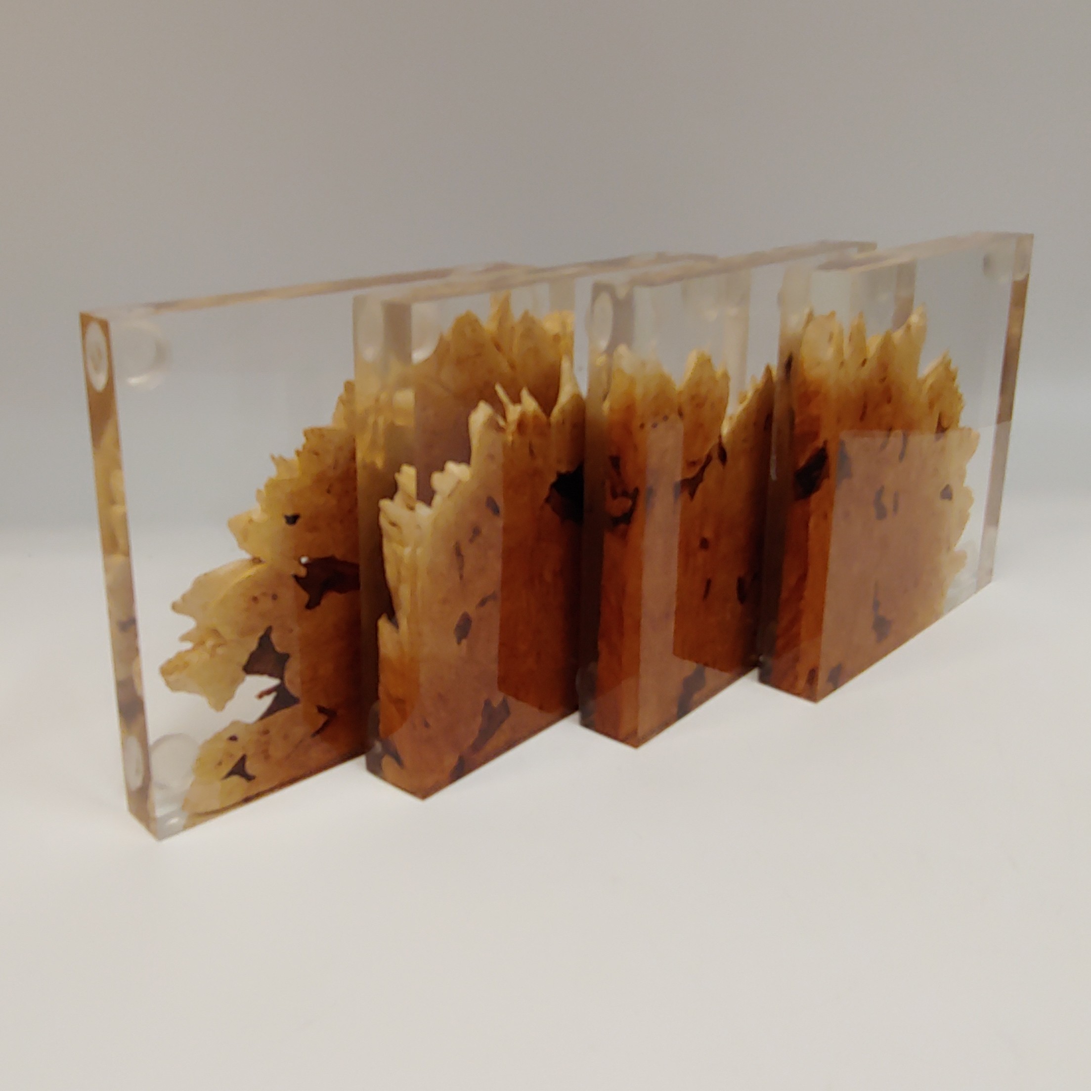 SH180 Coaster Set of Four Maple & Clear $80 at Hunter Wolff Gallery