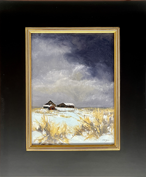 Click to view detail for Shelter 12x9 $490