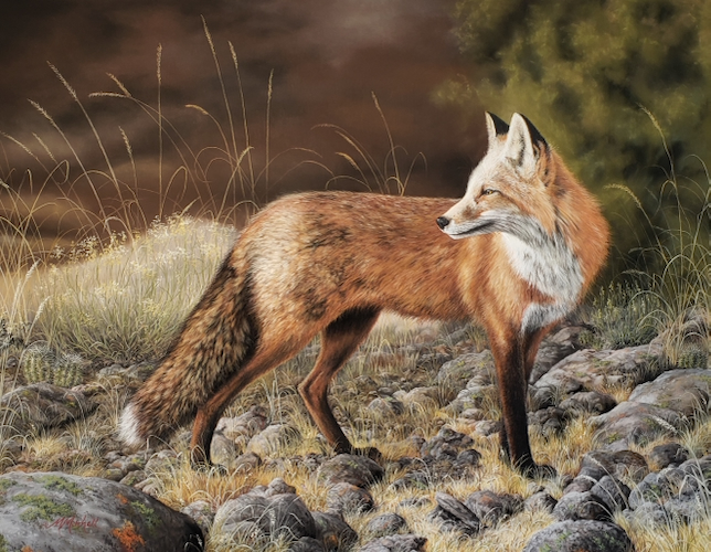 Sanford, Red Fox 18x24 $2250 at Hunter Wolff Gallery