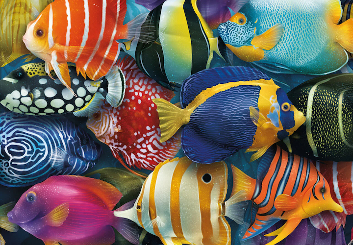 Click to view detail for MP-018 Sea of Colors 250 pcs $78