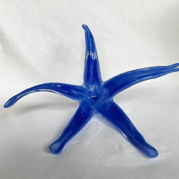 Click to view detail for DG-192 Sea Star Blue $87
